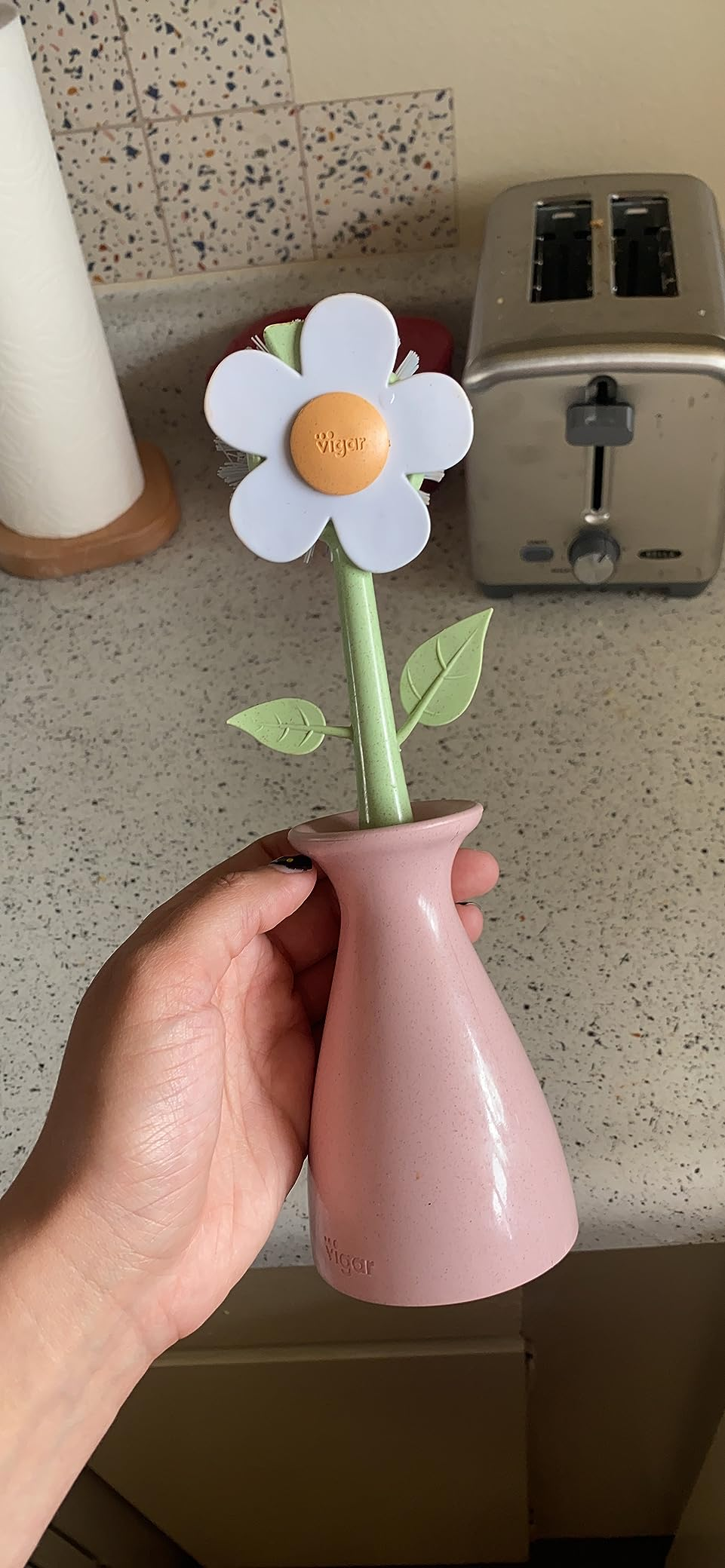 Hand holding a pastel pinkish  vase with a achromatic  angiosperm  and greenish  stem, placed connected  a room  antagonistic  adjacent  to a toaster