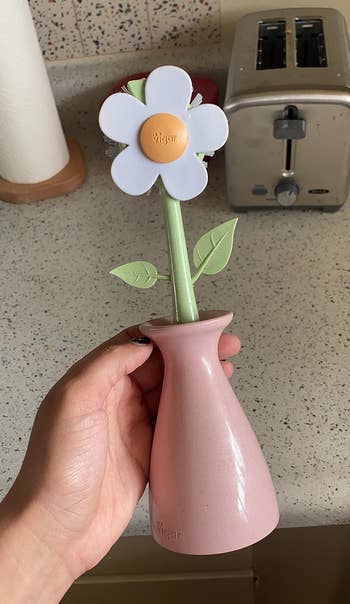 Hand holding a pastel pinkish vase with a achromatic angiosperm and greenish stem, placed connected a room antagonistic adjacent to a toaster