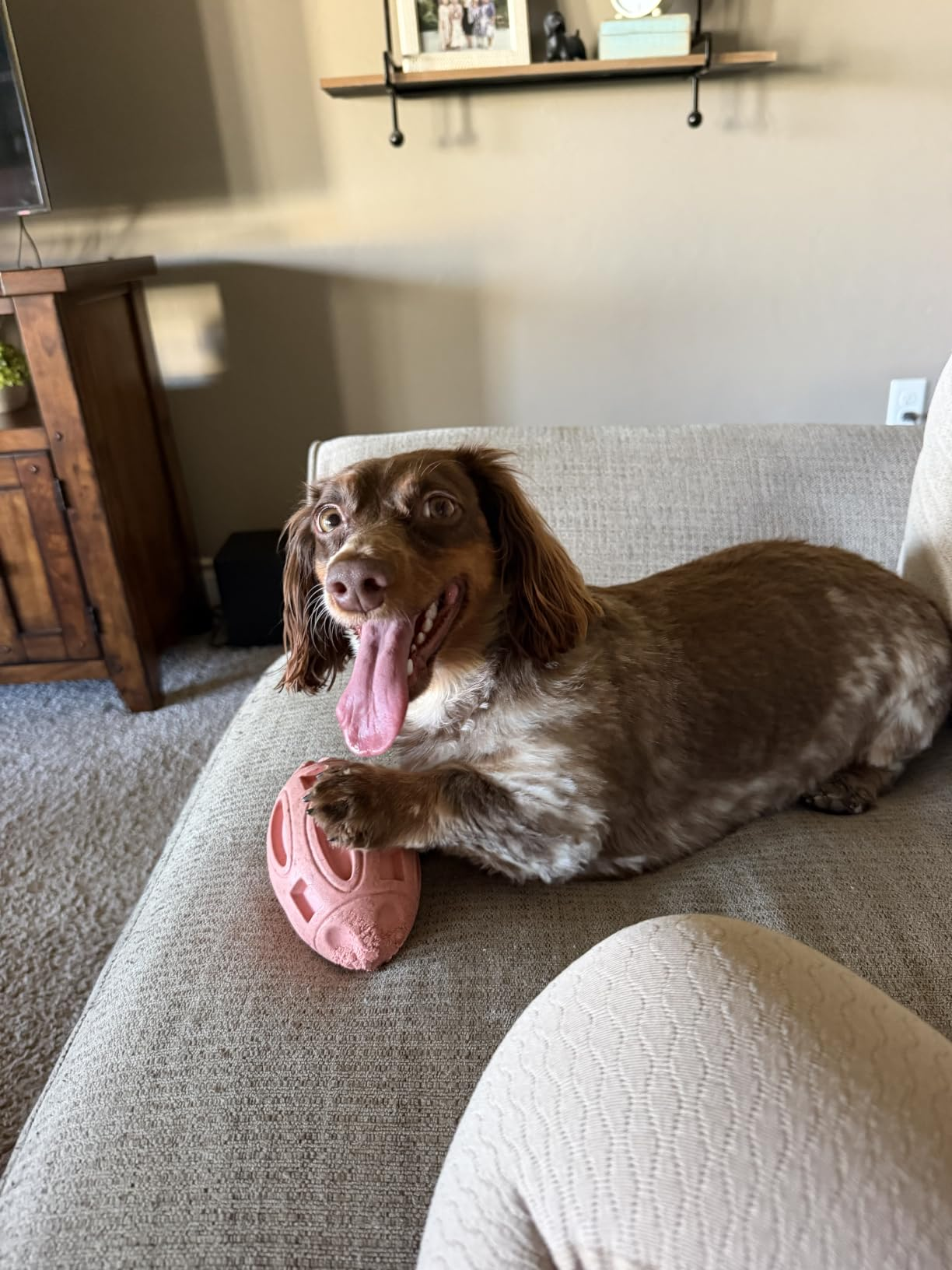 A canine  lies connected  a sofa  with a chew toy. The country   has cozy, neutral furnishings and a woody  broadside  table