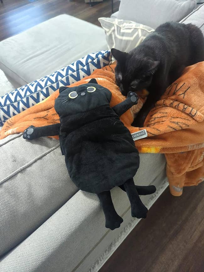 Black cat snuggling with a heating bad that looks like a black stuffed animal cat