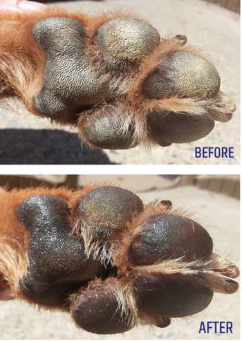 Before and after image showing a dog's paw pad transformation, possibly softened or treated. Labels indicate