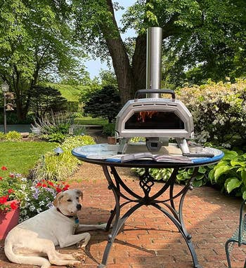 A reviewer's oven on a table in their yard