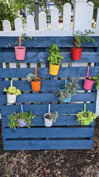 Hanging tiny  potted plants connected  a bluish  pallet fence, adding benignant   to a garden. Ideal for vertical gardening successful  compact spaces