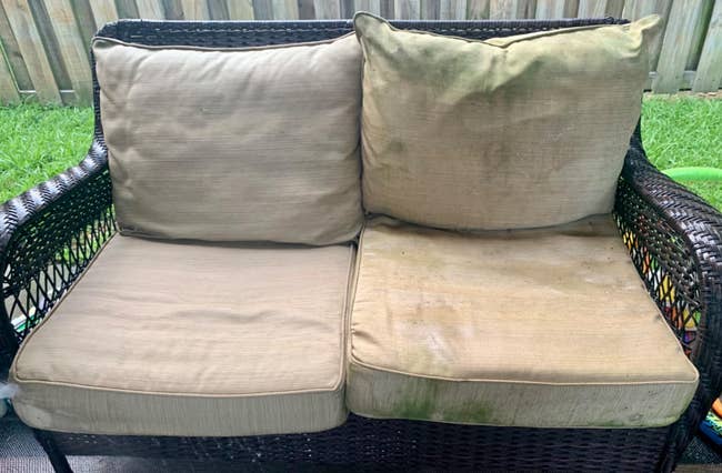 outdoor loveseat with one cushion that's covered in green mold and dirt and another cushion that looks clean and stain-free after it was cleaned with the pressure washer