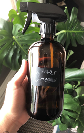 reviewer holding the amber bottle with a label that says