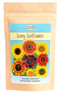 A packet of 'Sunny Sunflowers' seeds displaying various sunflower types for gardening
