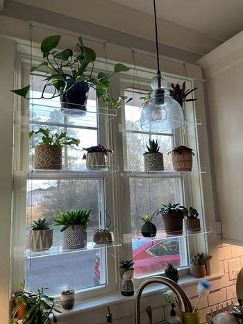 a reviewer showing two three-tier shelves in the window, with plants on each level