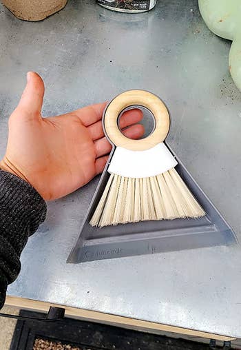 a reviewer holding the brush and dust pan 