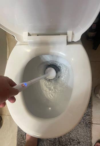 Social media trends Viral content Trending hashtags Social media updates Trending memes and videos Electric toothbrush mistakenly used to clean a toilet bowl