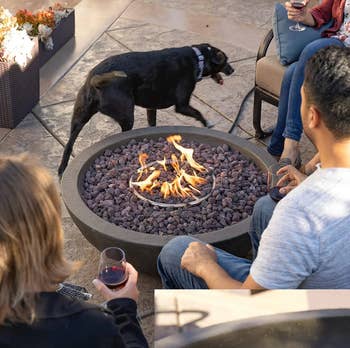 Image of people sitting around the round fire pit with black dog