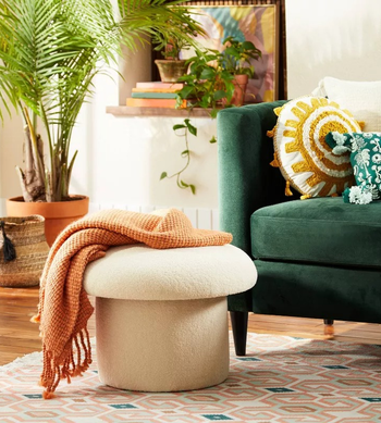 the white mushroom stool