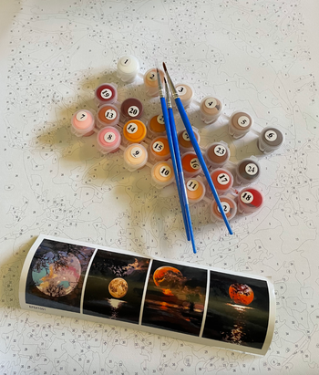 reviewer photo of paints and numbers on papers