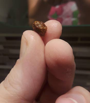 Close-up of a hand holding a small clump of brown ear wax