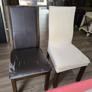 reviewer's ripped up leather chair without slipcover and one with a cream slipcover