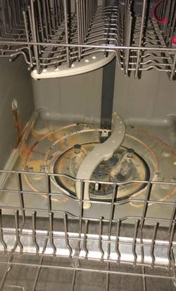 the inside of a reviewer's dishwasher looking dirty