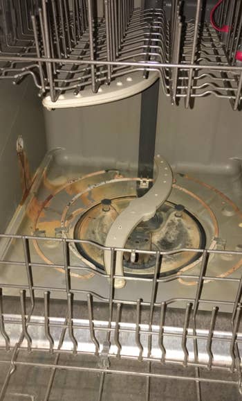 the inside of a reviewer's dishwasher looking dirty