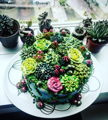 reviewer succulent cake
