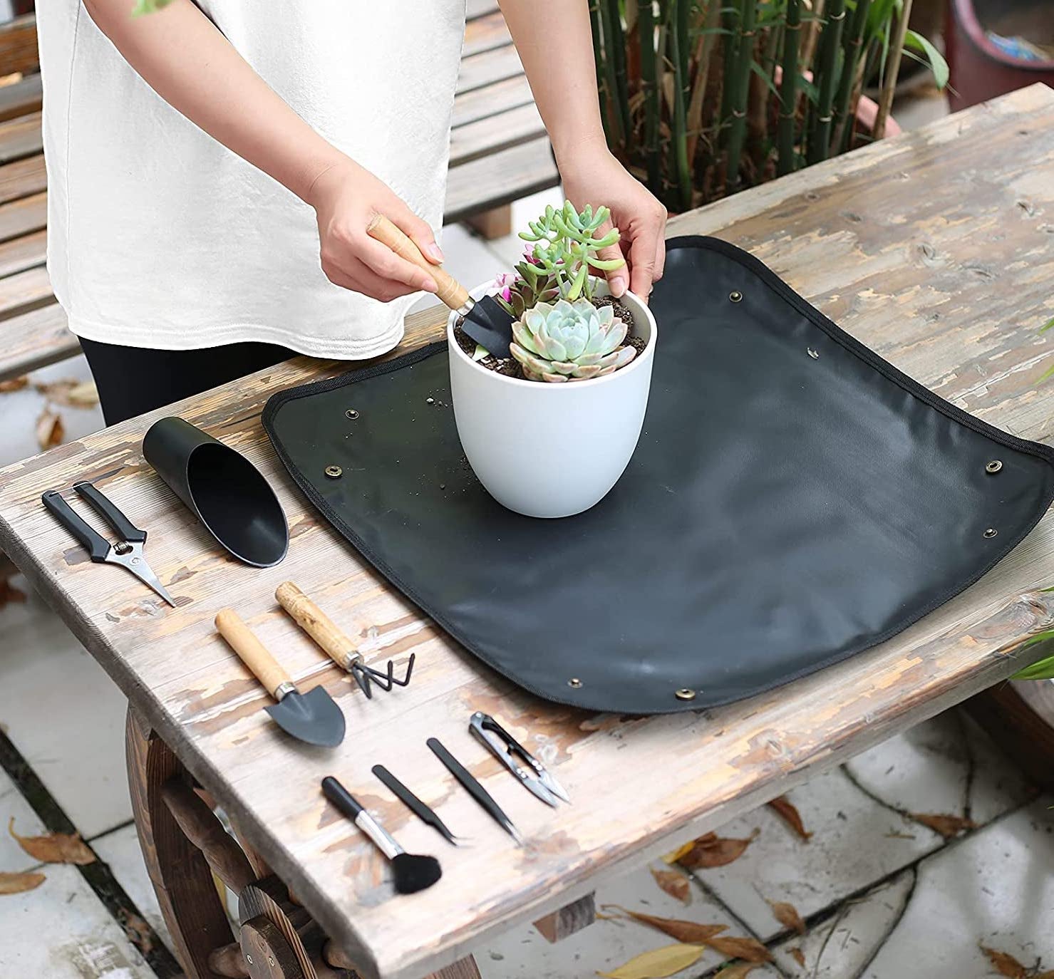 Photo of gardening tools being used to plant succulents