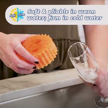 Model using the Scrub Daddy to clean a glass, with the caption 