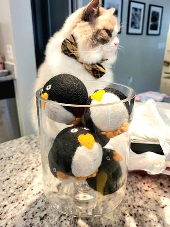 Cat with a plaid bow necktie  sits beside a wide   vase filled with plush penguin toys connected  a countertop
