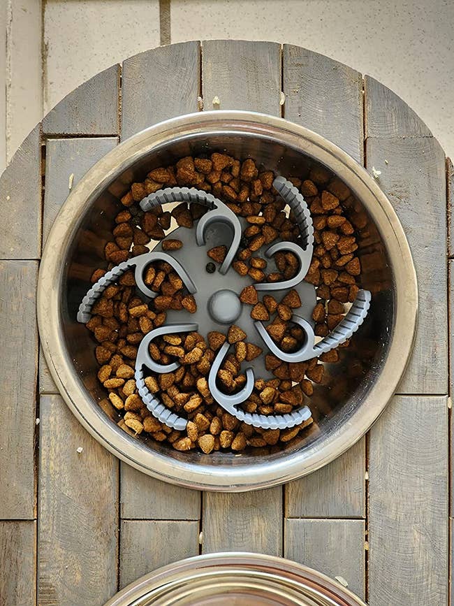 The octopus-like insert inside a reviewer's metal dog food and filled with kibble