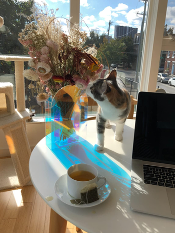 reviewer image of vase with dried florals in it on top of table