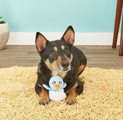 same dog now with the egg partially revealing the chicken inside