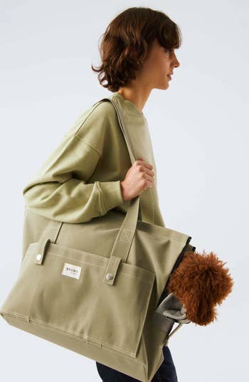 A model wearing the bag on their shoulder with a small dog inside