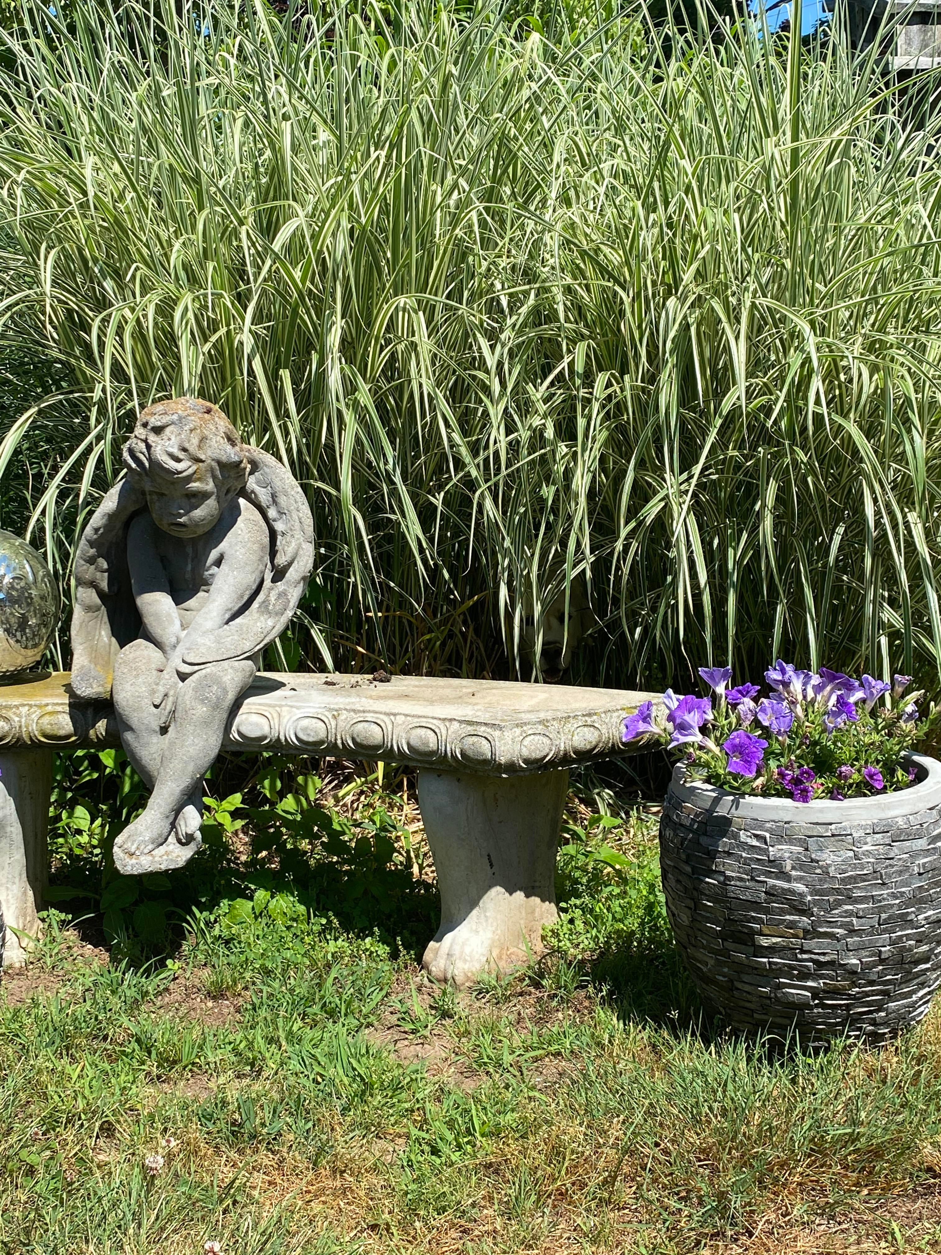 超難問 あなたはいくつ正解できる 隠れ動物クイズ