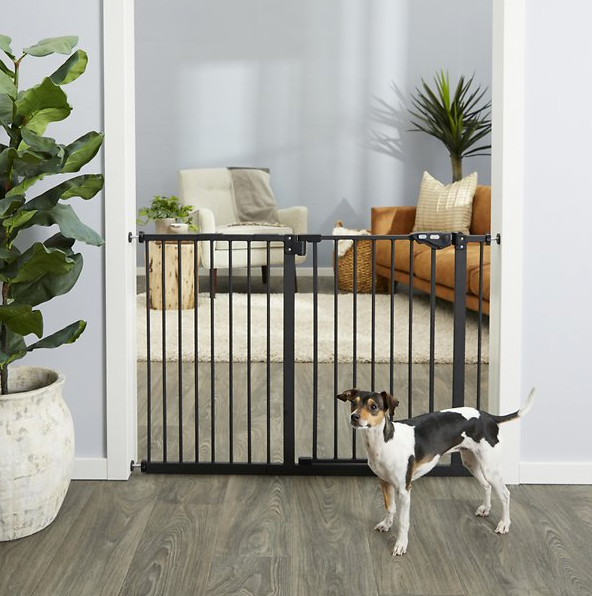 A dog standing in front of a black pet gate put up on a doorway