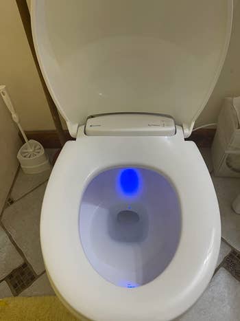 reviewer representation  of the toilet spot   and glowing nighttime  light