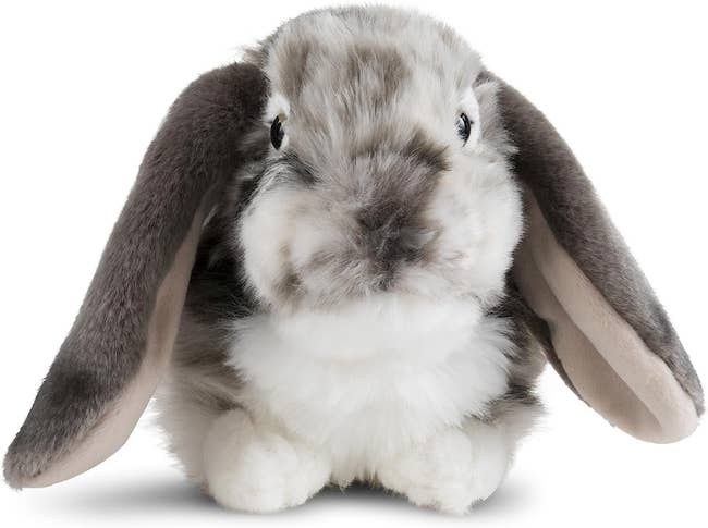 long eared fluffy toy rabbit