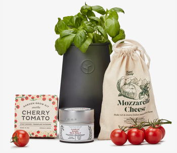 mozzarella cheese, tomatoes, and basil in the caprese salad kit