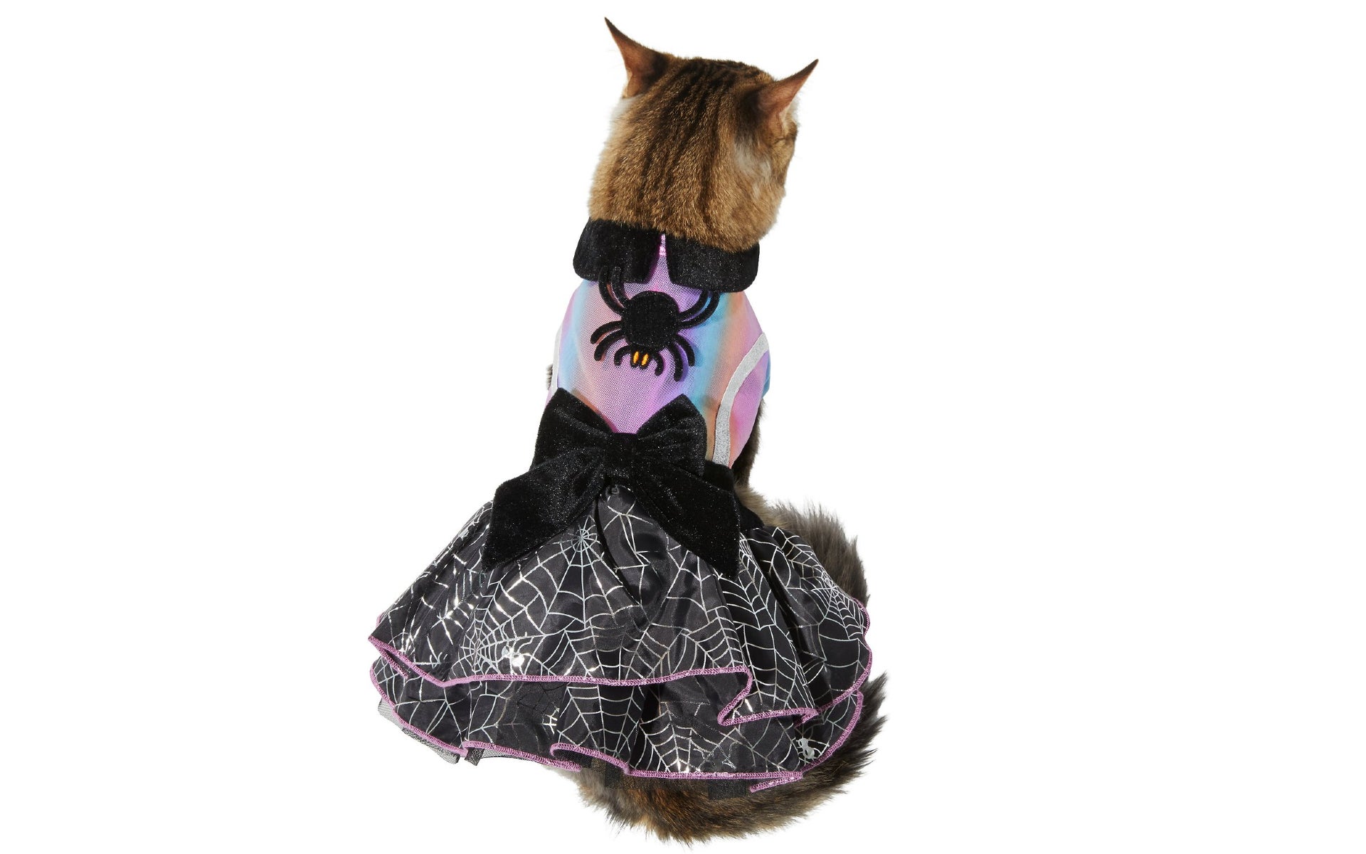 Witch dress