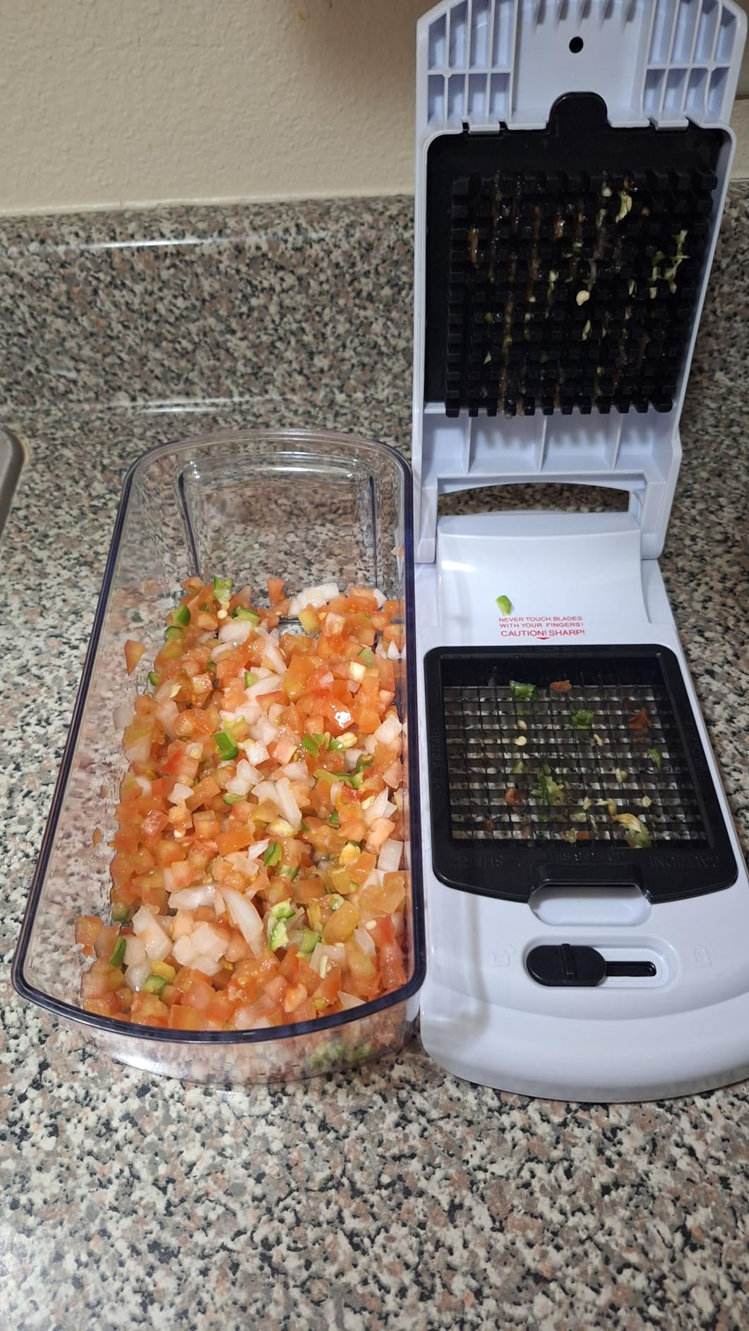 Vegetable dicer with chopped tomatoes, onions, and herbs successful  the container