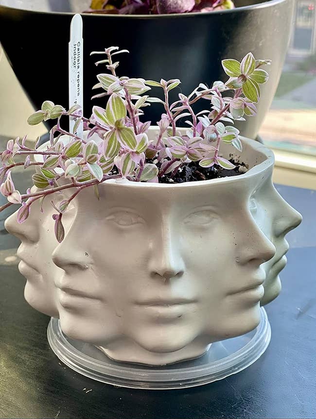 reviewer's white multiple face planter