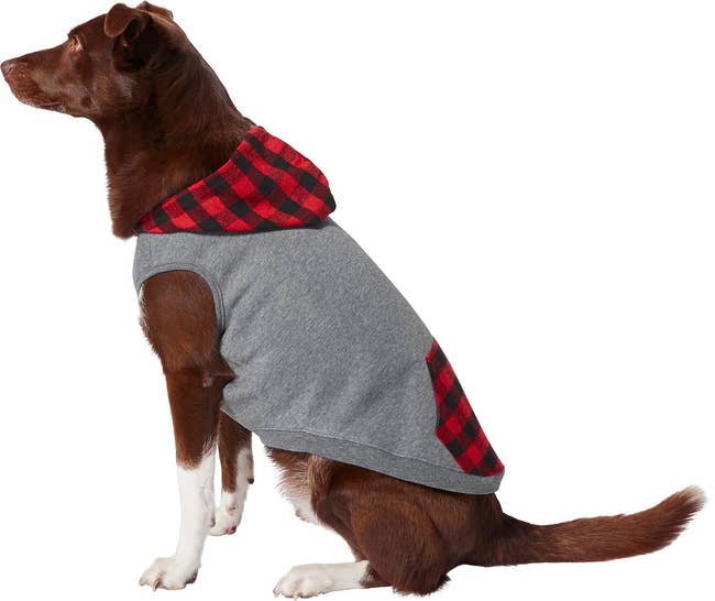 Dog wearing multi-check plaid hoodie
