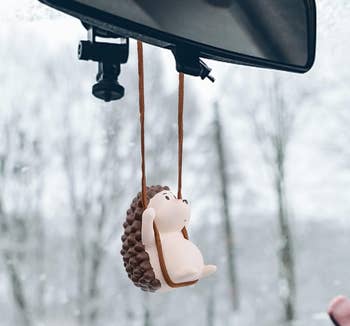 A hedgehog suspended connected a achromatic plaything from a car reflector