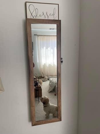 A full-length mirror with a wooden frame reflects a living room scene, including a fluffy dog sitting on the floor next to a bean bag chair