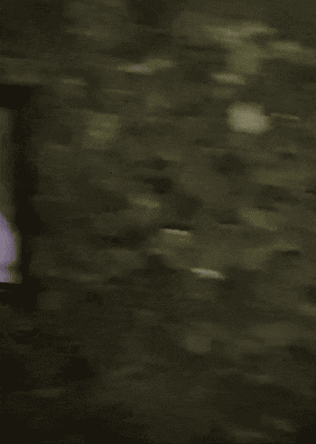 reviewer gif of one picture changing from normal to zombie as they walk by it 