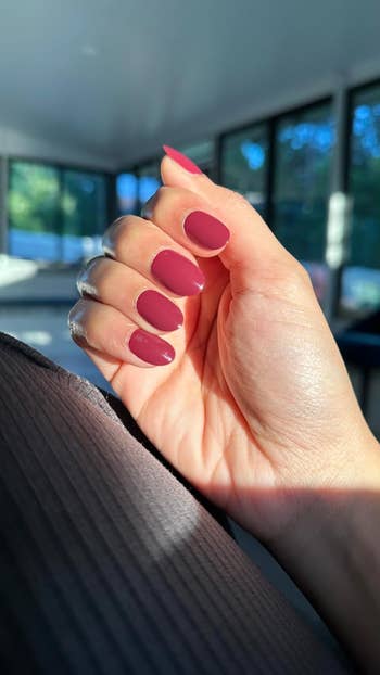A manus  displays neatly manicured nails with a matte finish, successful  a bright, sunlit room
