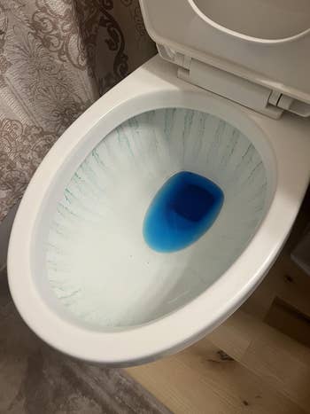 Toilet vessel  with bluish  cleaning liquid successful  the water, indicating cleaner use