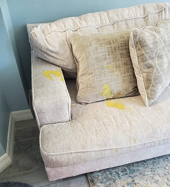 a before of a reviewer's stained couch