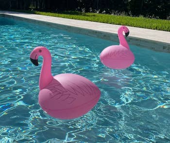 Two inflatable flamingo excavation  floats bobbing successful  a swimming excavation  nether  sunlight