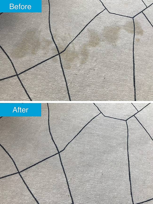 before and after images of a pet accident stain being cleaned up