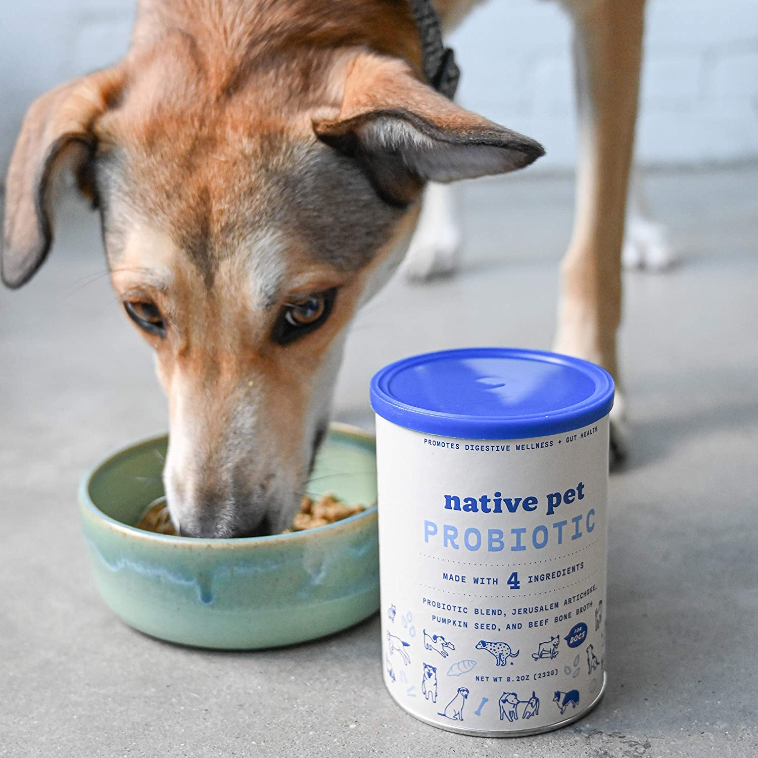 dog eats food next to can of probiotic powder 