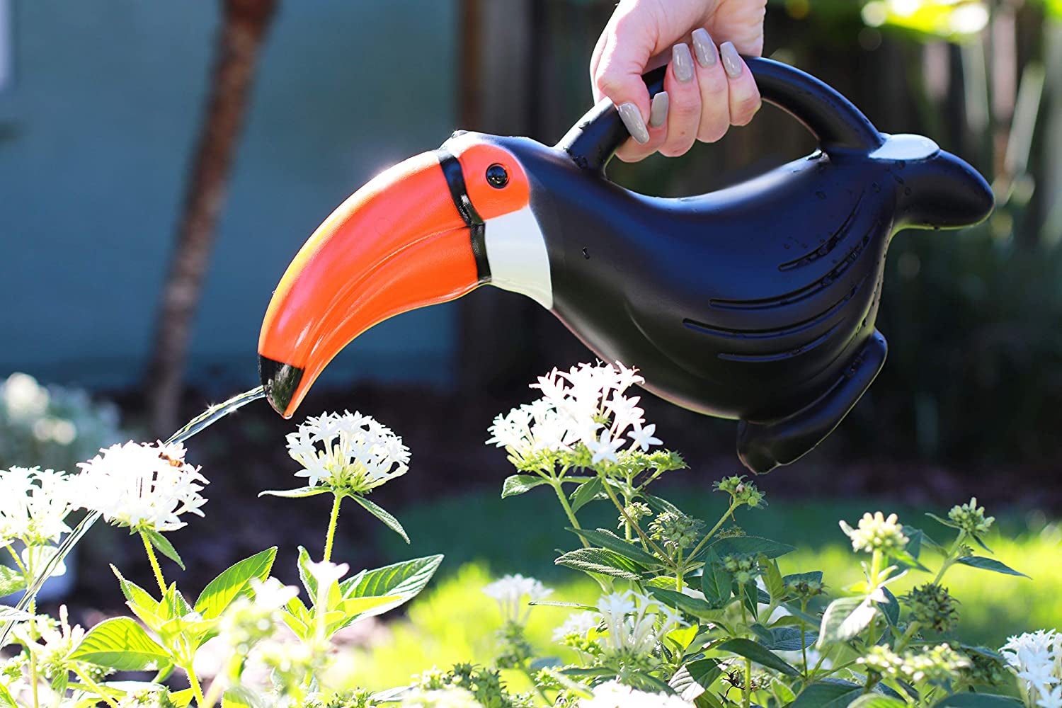 toucan watering can that spits water from beak 
