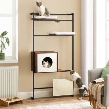 43 Products For Anyone With A House Full Of Cats