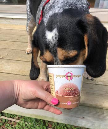 Reviewer image of dog eating ice cream out of container
