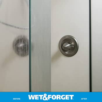 a glass shower door before and after using wet and forget